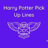 Harry Potter Pick Up Lines Ideas